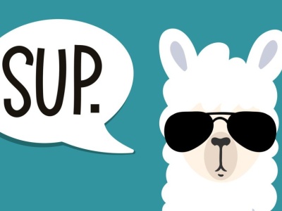 Meta Llama: همه چیز درباره مدل مولدی باز هوش مصنوعی